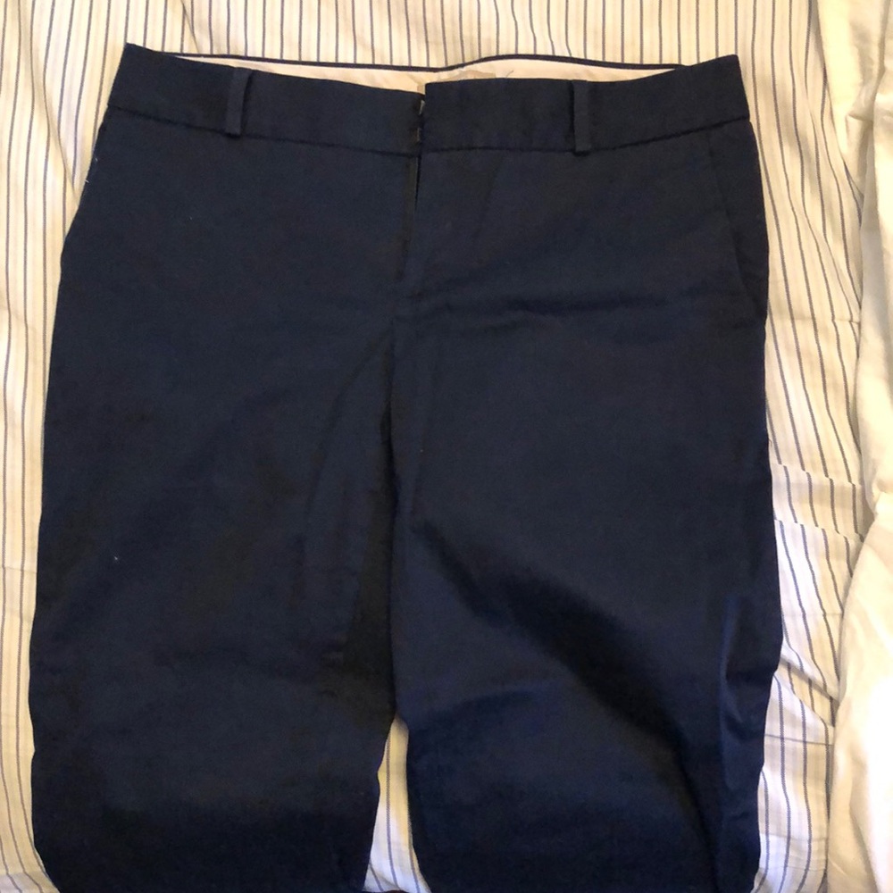 Banana Republic Navy Hampton Pant